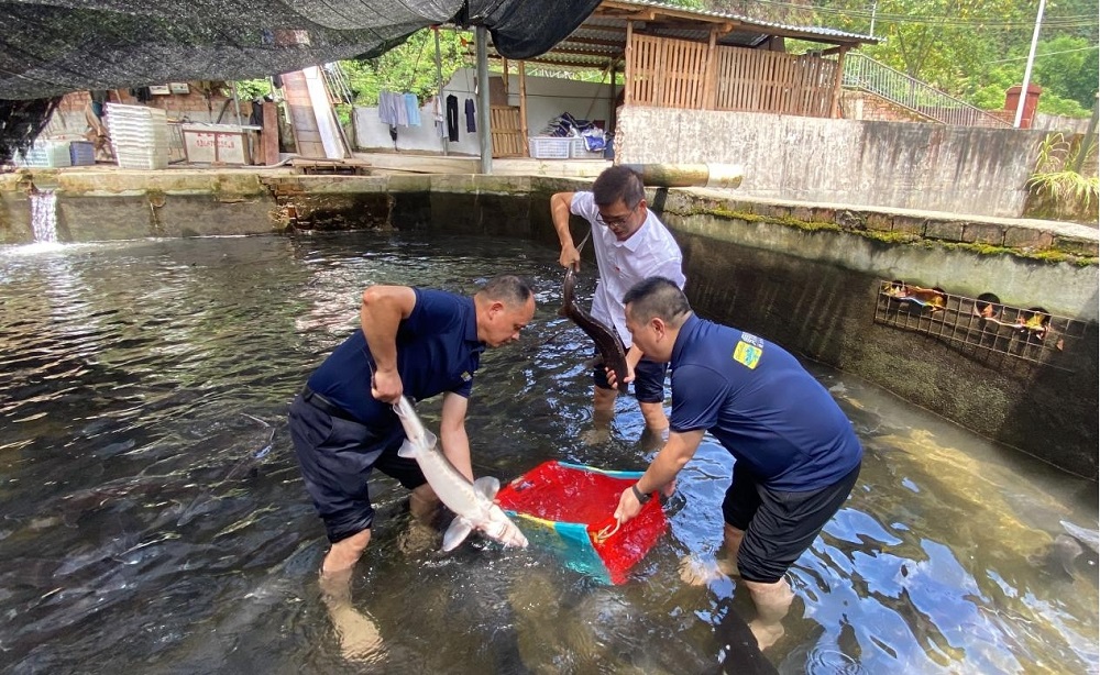 中国·威尼斯集团vip5519(股份)有限公司-官方网站